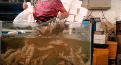 死螃蟹瞬间变活，活虾瞬间变死？这样的“魔术手”，很多人都中招