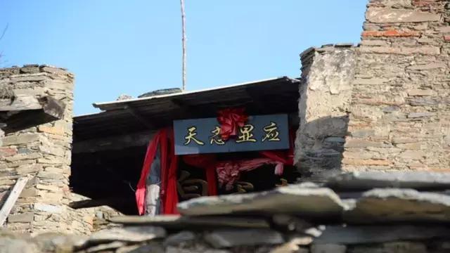 奇葩牧场|不养牛不养羊,居然养这个?