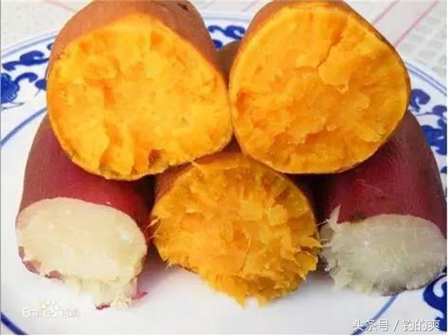 野钓用这五款天然饵料,钩尖江湖饵料靠谱吗