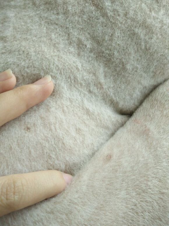 在诸暨市捡到一只萨摩耶,捡了一只萨摩耶怎么看有没有病