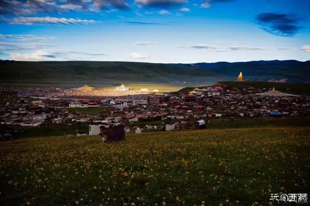 亚青寺，孤寂中盛放的莲花