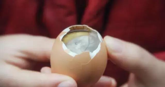 福建黑暗料理大全,福建十大黑暗美食