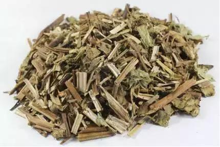 活血行瘀用泽兰,行水消肿有奇效