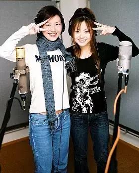 孙燕姿蔡健雅谁更有实力,孙燕姿唱歌实力