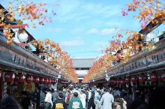 日本必购攻略,日本必败单品哪个好