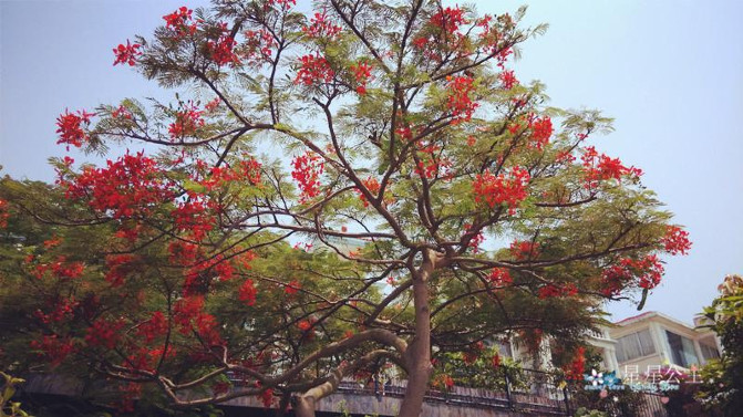 蓝色的厦门之旅，夏天明年再见！
