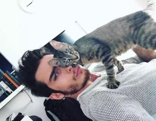 听说养猫的人很有福气吗,听说养猫的男生更容易脱单