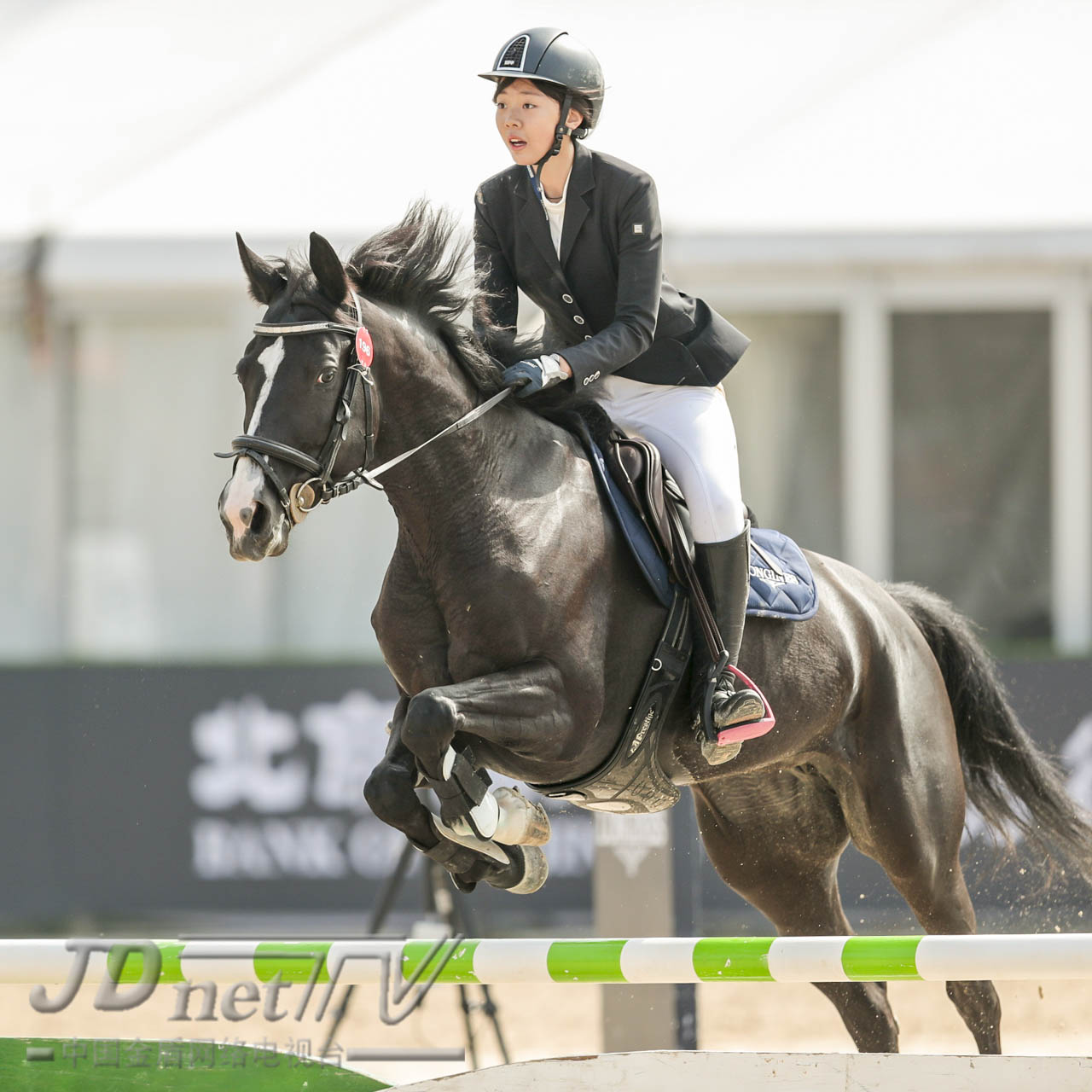 浪琴马术世界杯,浪琴马术赛程