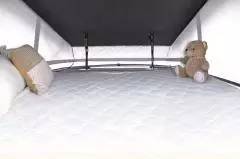 10月RA，中欧奔驰维莱德商旅版、大众T6麦坦威商旅版登陆