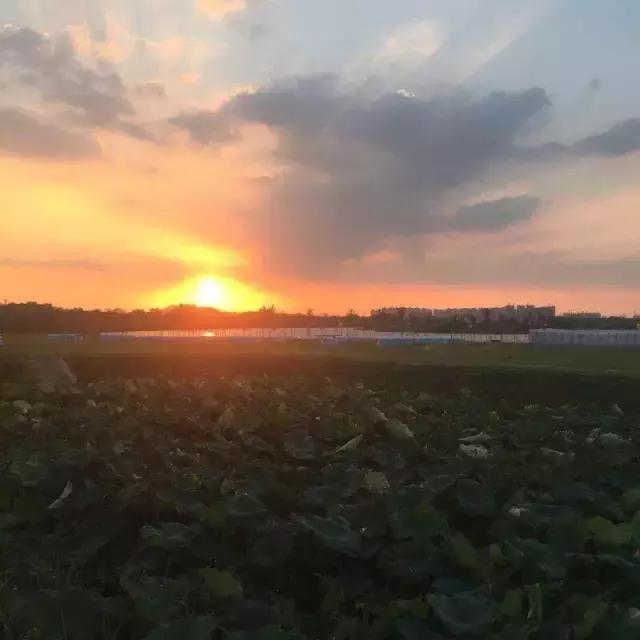 重阳节与老人互动,重阳节和老人互动