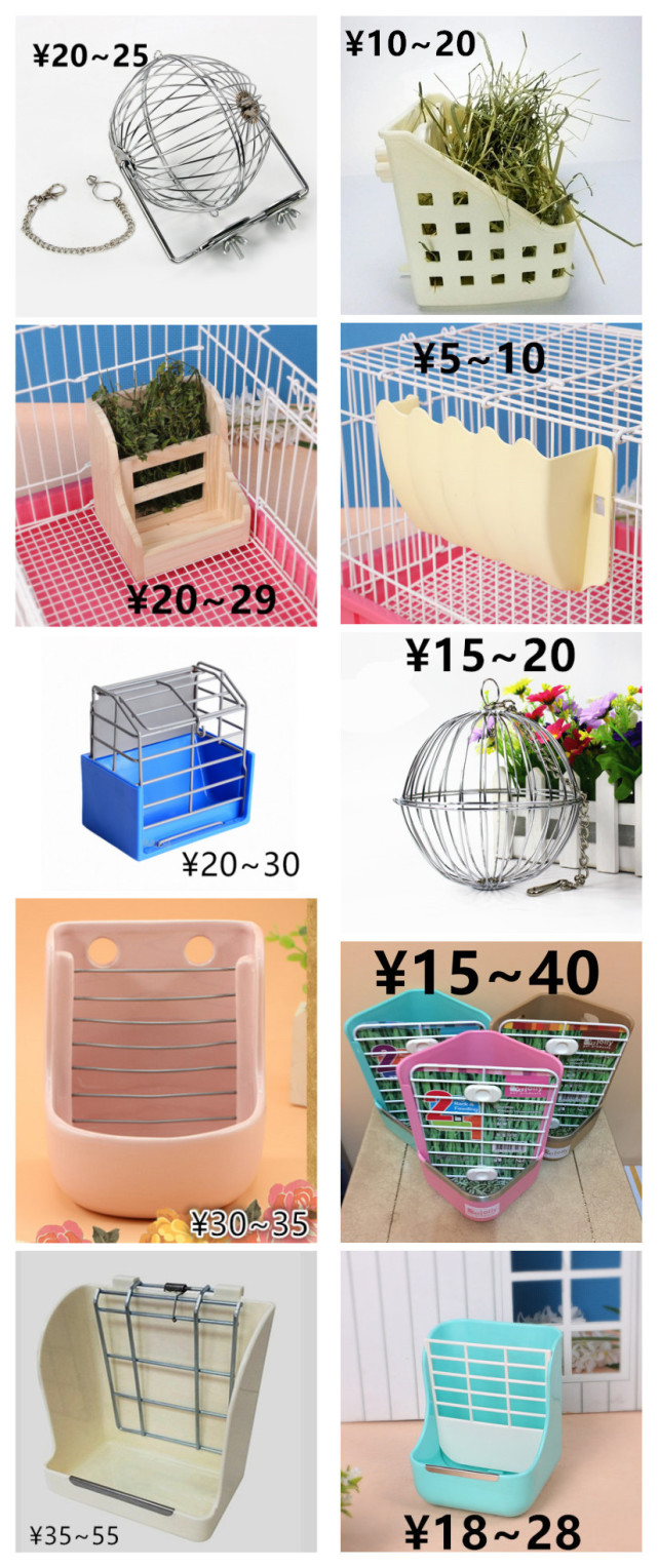 养一只荷兰猪需要花多少钱,养一只荷兰猪需要准备些什么