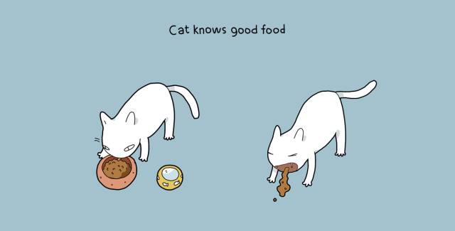 从把它带回家的那一刻起，相信你的生活就已经变了​