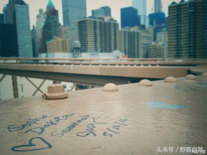 野鹅旅行,野鹅自驾无人区