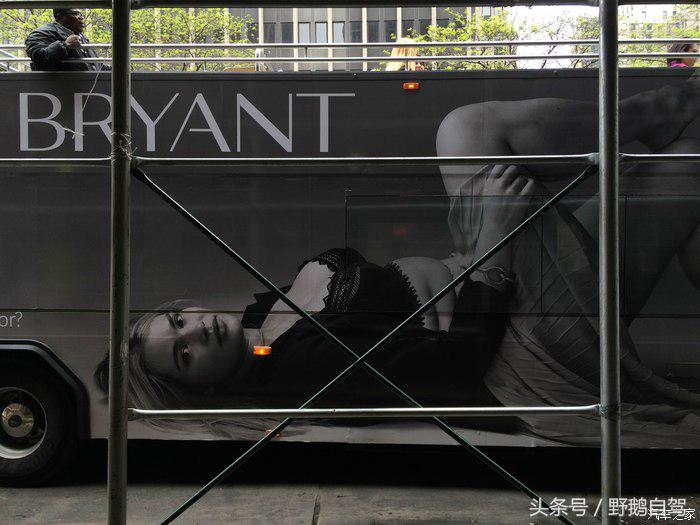 野鹅旅行,野鹅自驾无人区