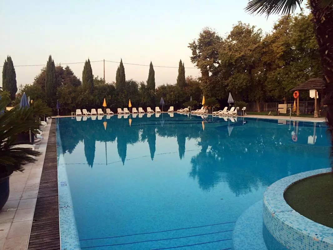 蓝瘦香菇在这里视频,蓝瘦香菇在法国