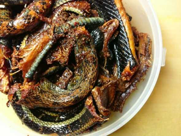 蛇肉汤有多补,吃蛇肉蛇汤