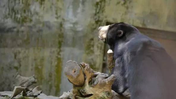 朋友圈发海边泳衣照好不好,朋友圈晒沙滩泳装