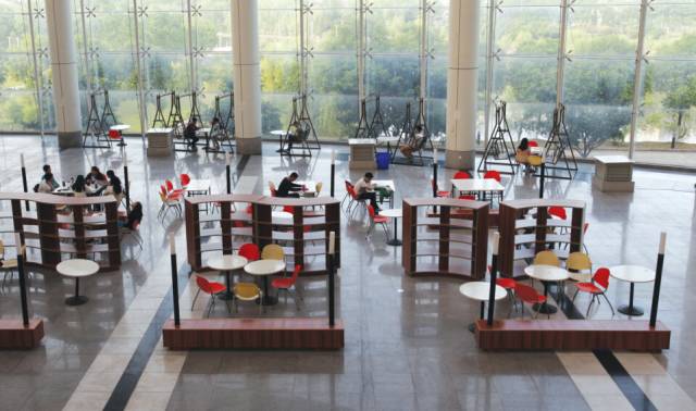 探秘校园的感想作文400字,探秘课文