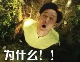 莫兰蒂台风预警措施,最强台风莫兰蒂来袭