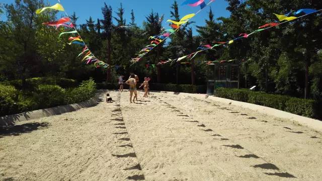 十一国庆节去哪儿泡温泉最好,十一去哪玩沧州市