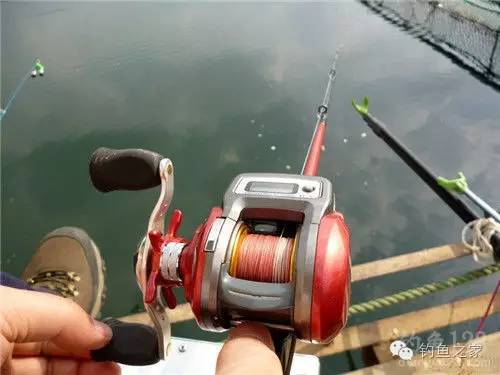 秋季抛竿水库钓鱼技巧,秋季抛竿钓草鱼饵料