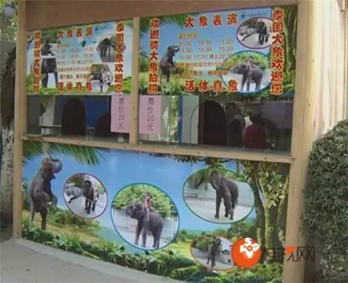 桂林4-5天旅游攻略,十一国庆桂林自由行攻略