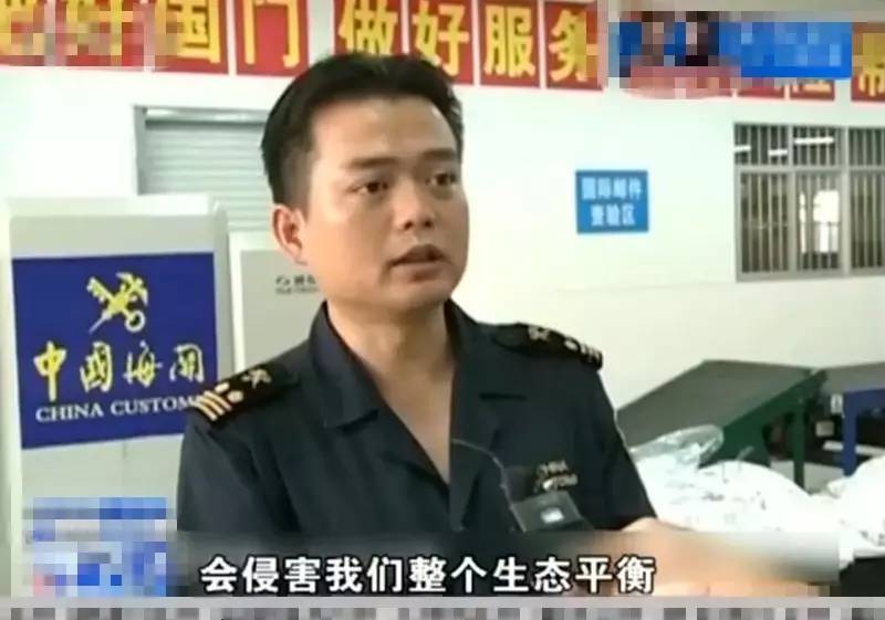 我嘞个去！这是啥嗜好？！一人“海淘”数千只害虫被截获（胆小勿进！密恐勿进！）