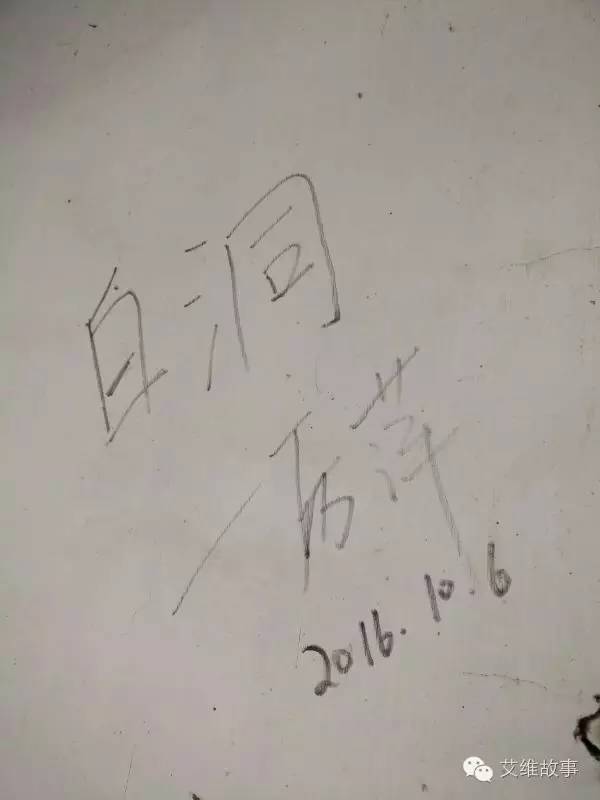 艾维wwoofer之：希望的曙光，为你为我