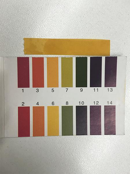 雅诗兰黛小棕瓶和雪花秀润燥精华,雅诗兰黛小棕瓶精华胶囊