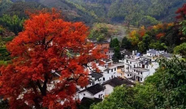 十一最热门出游地,十一最适合旅游的地方