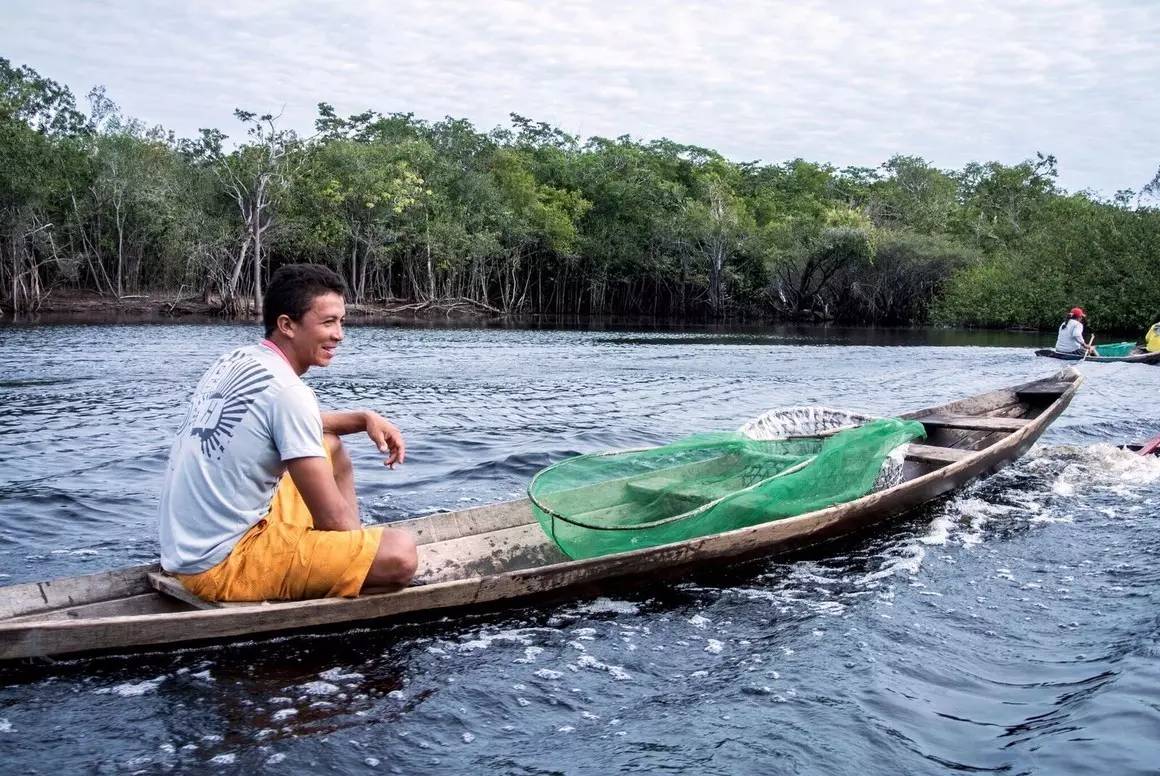 宝莲灯亚马逊,亚马逊雨林的宝莲灯