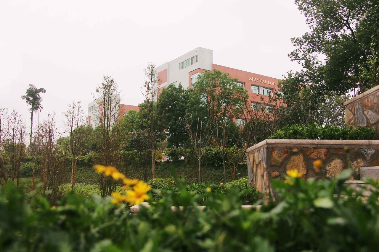 重庆北碚四十八中学里面怎么样,重庆市最美校园