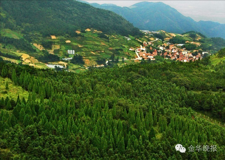 景点现在拥挤,景点拥挤