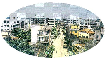 南海市历史影像,南海县老照片