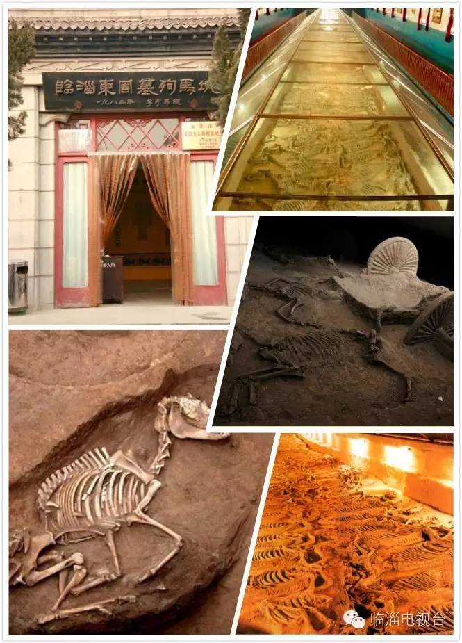 约起来到此一游,约起来一起去旅行