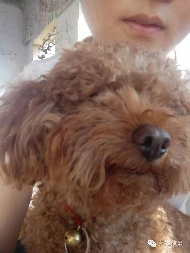 艾维wwoofer之：希望的曙光，为你为我