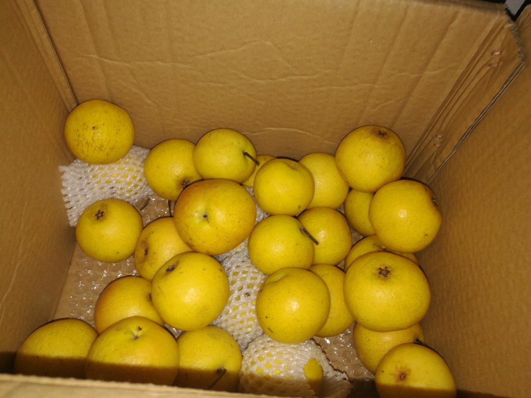 双12种草大全,种草双12