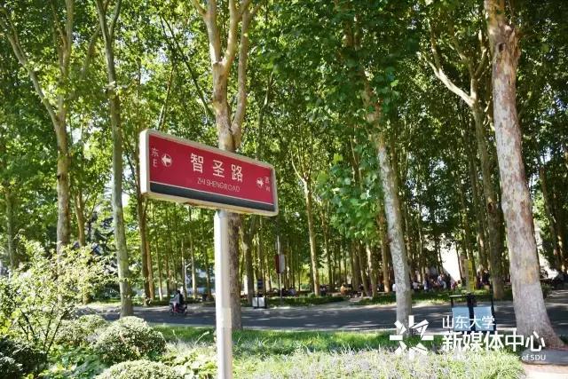 趣谈山大Mr.Road,你的名字从哪儿来？