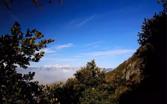 奇葩牧场|不养牛不养羊,居然养这个?