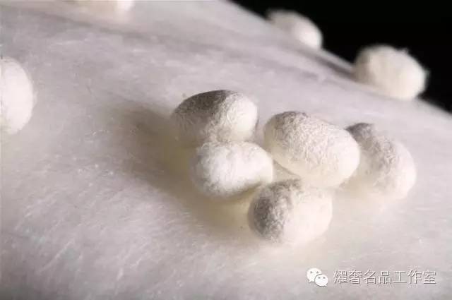 老司机带你玩转玻尿酸,老司机带你玩转漂移