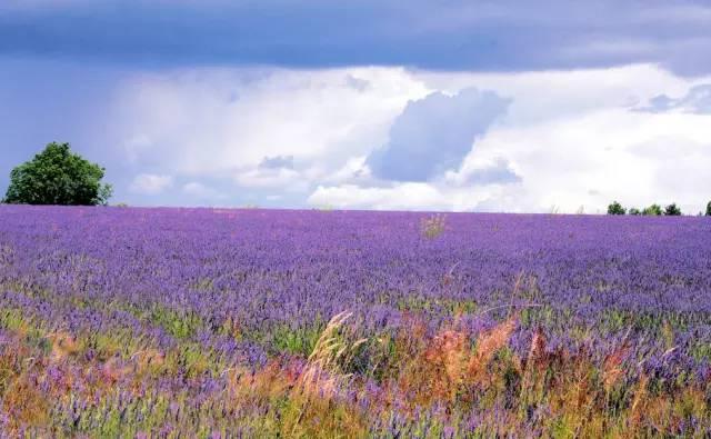 合肥市国庆期间有哪些亮点,合肥国庆七天怎么安排