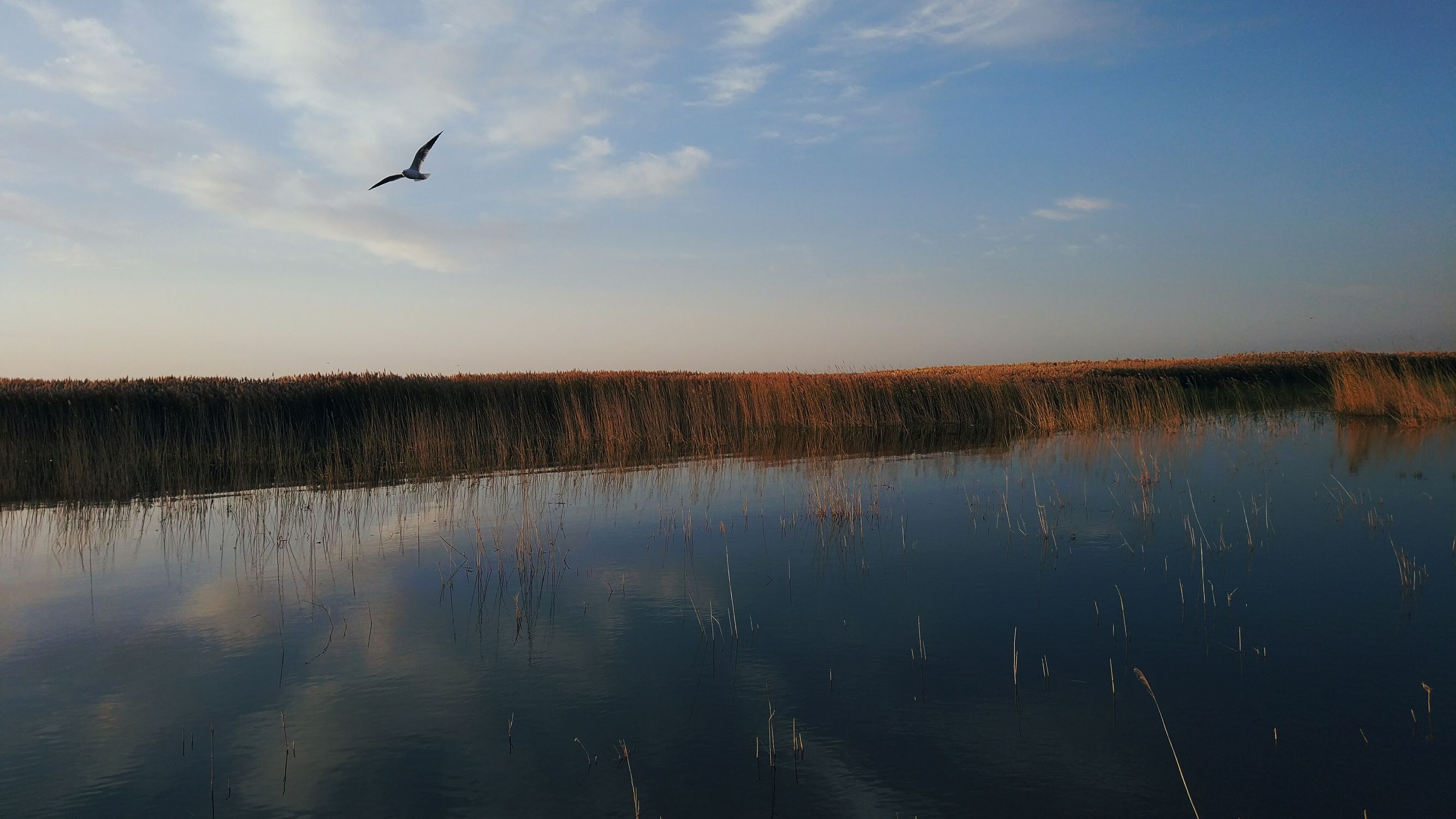 乐视3pro双摄ai版怎么样,乐视冯幸专访