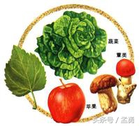 胆囊息肉患者的饮食选择和注意事项