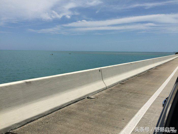 野鹅旅行,野鹅自驾无人区