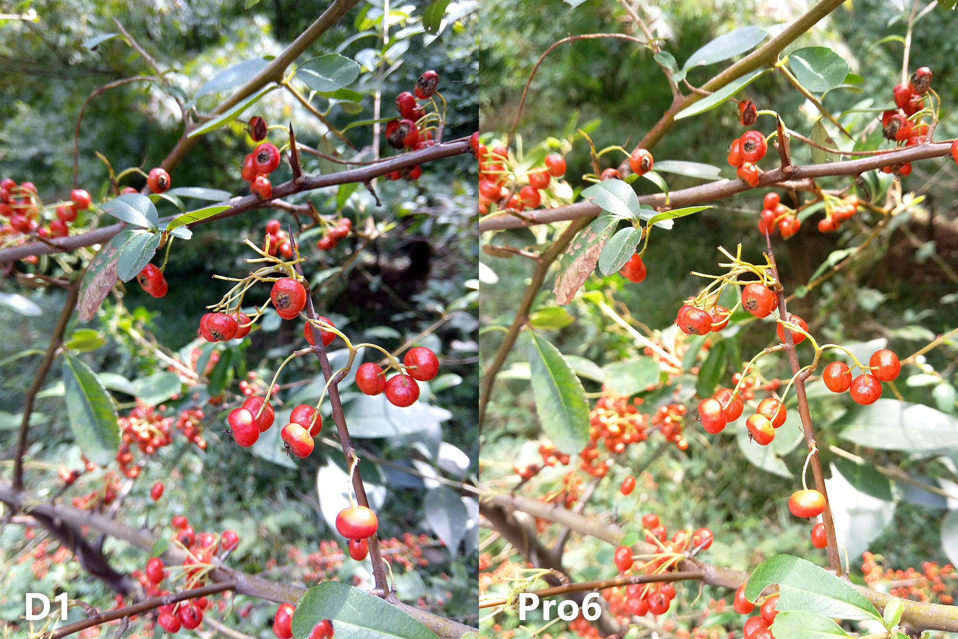 裸眼3d手机都有什么,裸眼3d屏幕手机