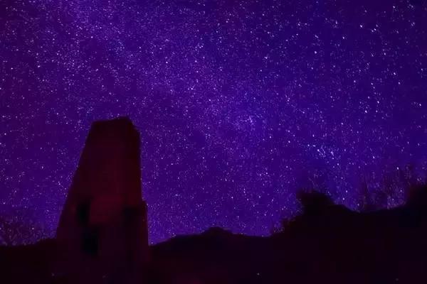 奇葩牧场|不养牛不养羊,居然养这个?