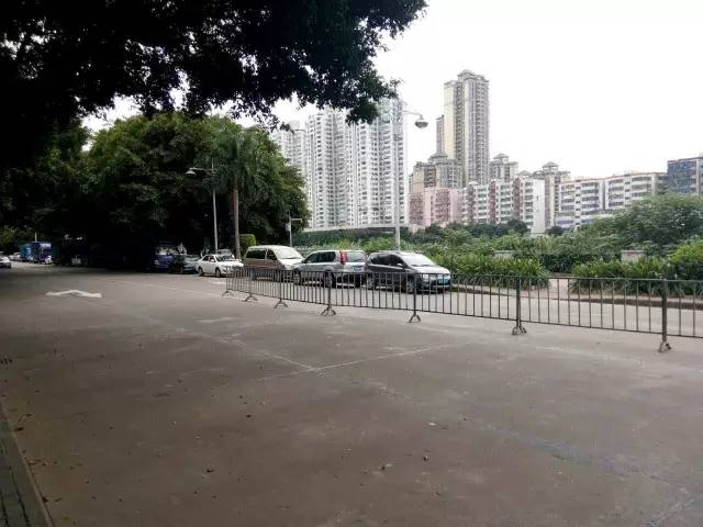 番禺|这天，我在南浦桥底偷摘了一朵花，为祖国母上庆生