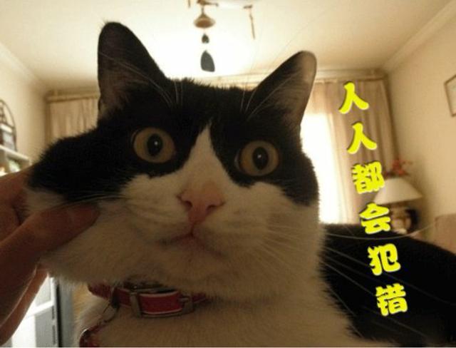 互联网手机充值充错号码后的悲剧,值得你我深思!