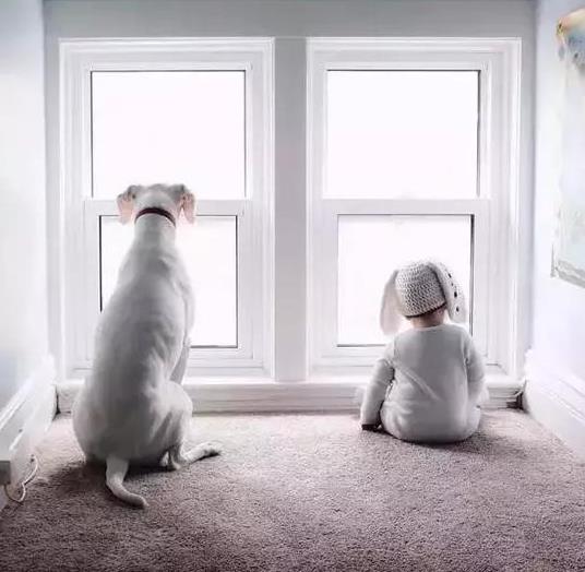 朋友圈晒宝宝,朋友圈晒娃注意事项