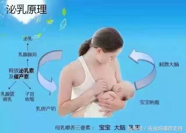 准爸爸妈妈必须知道的事情,准父母育婴要诀